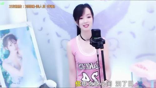 网红女主播歌曲森林,探寻网红女主播的生态旋律