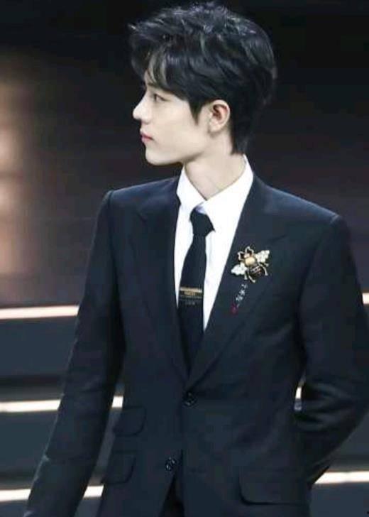 姓肖的明星,璀璨星河中的闪耀星辰